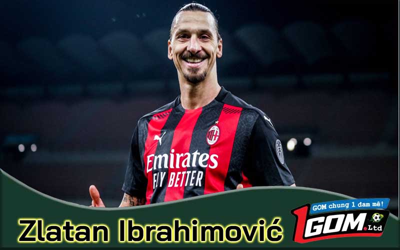 Zlatan Ibrahimović - Sự nghiệp và thành tích cho nền bóng đá Thuỵ Điển